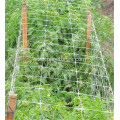 uv protection agricultural plant support vegetable net